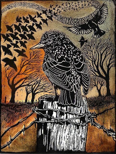 helen warlow tweet media