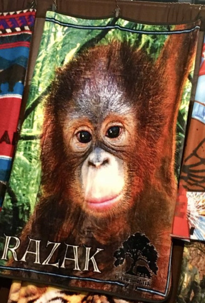 barrelomonkeyz's tweet photo. We are currently at the Nation's Largest Gift Show in Fabulous #LasVegas. Check out some of these great photos including one of our great clients @BelvedereEx from earlier today!
More Creativity. More Ideas. More Fun.
#BoM #BarrelOMonkeyz #VivaLasVegas #GiftShow #ResortShow https://t.co/yLGEHFTWcN