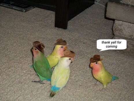 tristehomo's tweet photo. anxiety, depression, and stress ruining my day https://t.co/1KGdNyI9lG
