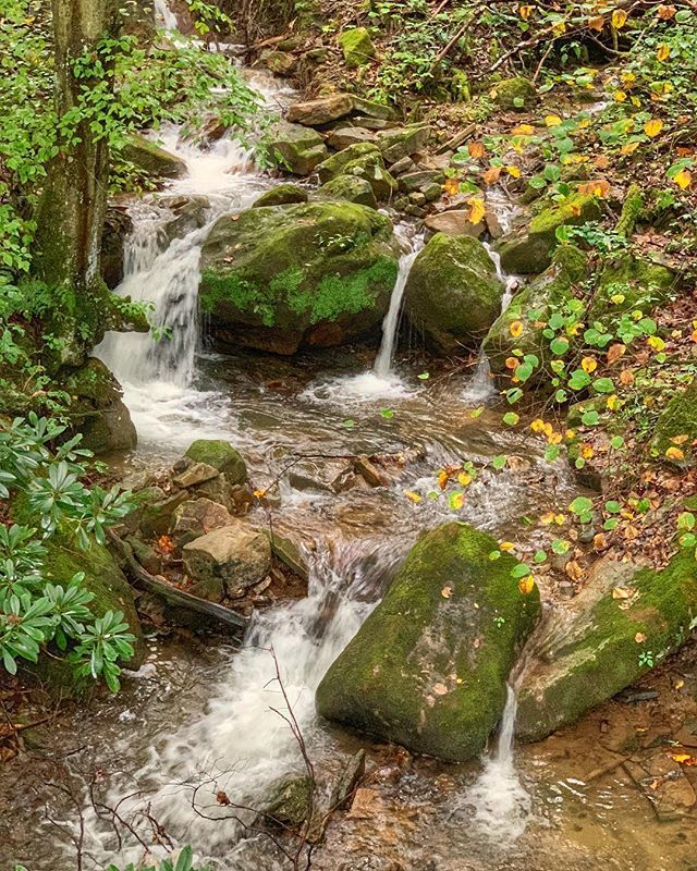 jkmoss's tweet photo. Silver lining: all this rain does good things for the waterfalls ☔️ #matpra2018 https://t.co/E6Zp2sX4hz https://t.co/OYb4wLvvub