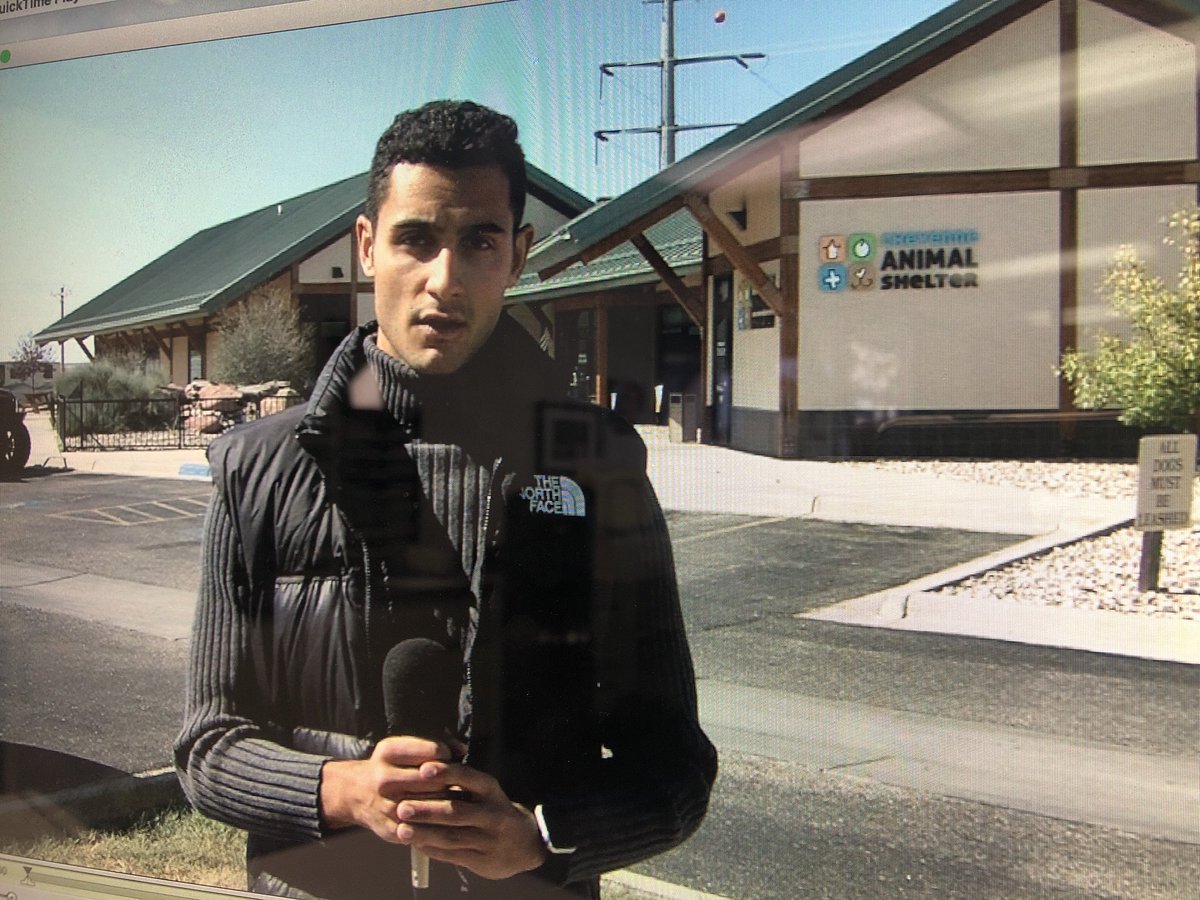 pintopress's tweet image. CPD Charges 3 Animal Shelter employees with animal abuse... After they pepper sprayed an 8 month old pitbull puppy during a demonstration... Full details on #k2tv @5! @peta #shelter #animal #WyomingNews #ABCNews #reporter