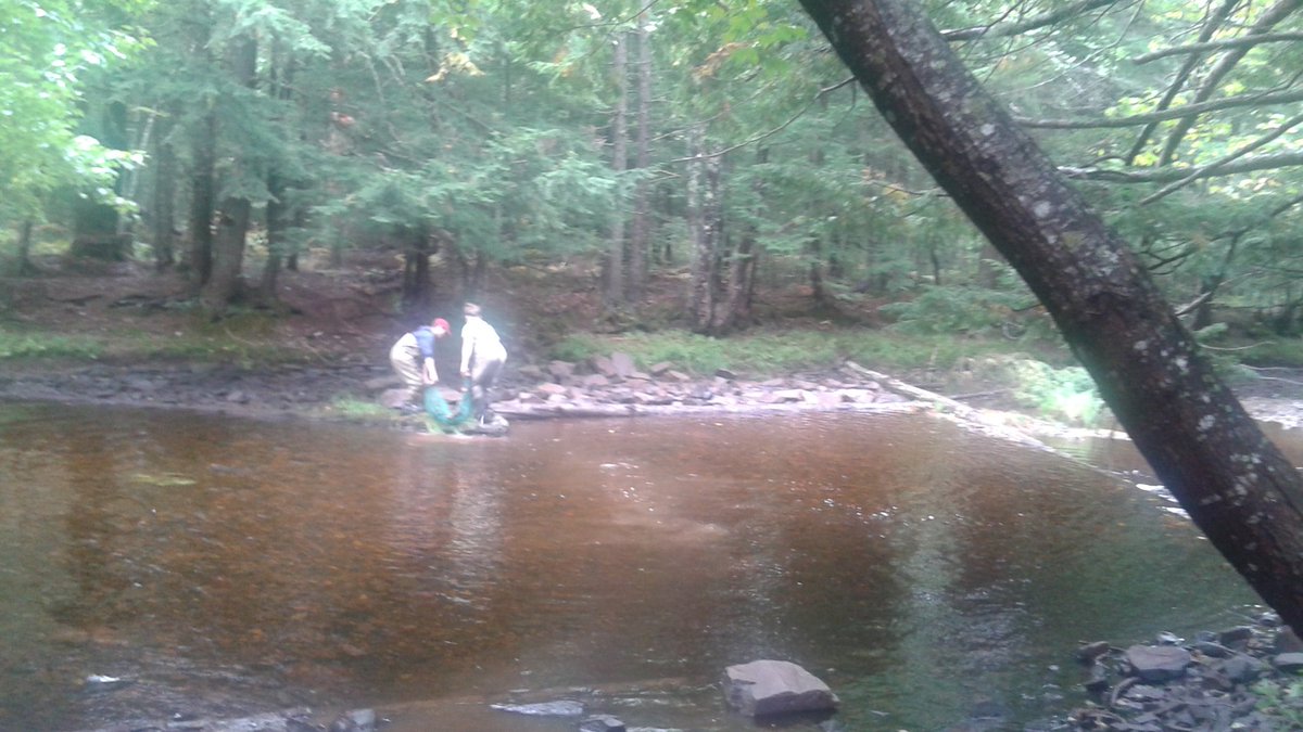 Dave_at_LEC's tweet photo. Science 10 and Global Geo 12 group working with @CARPAnnapolis on some river deflection and water quality work today!! @avrceprograms @AVRCE_NS https://t.co/JTCzVyh9cE