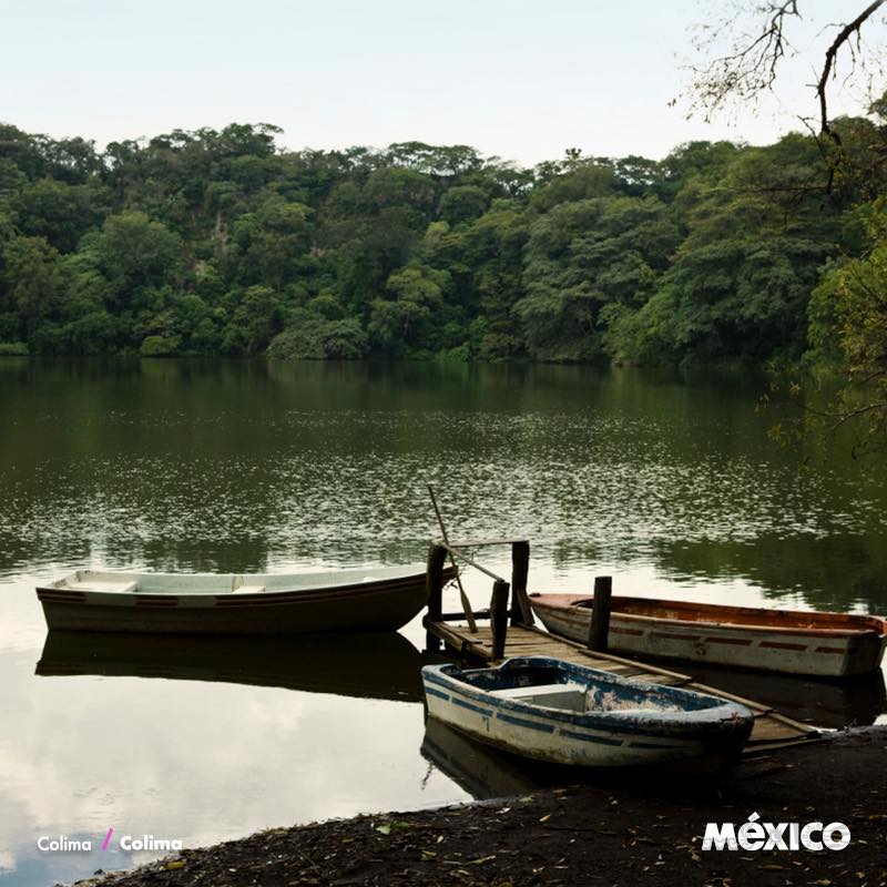 fianceebodas tweet media