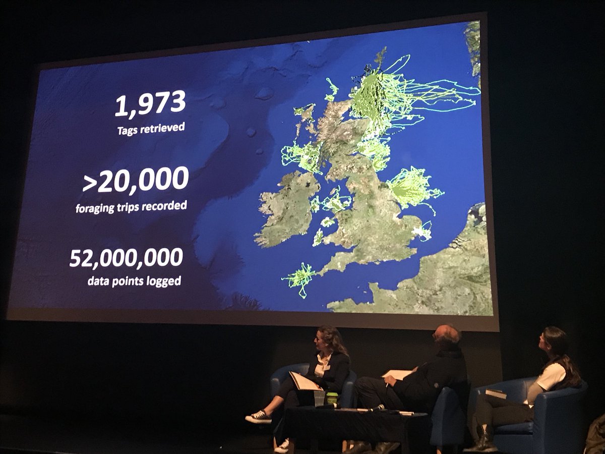 What do seabird scientists do over winter? Deal with quite a large amount of data points....! Amazing effort from a whole heap of folk collecting data from tagged seabirds! #seabirdtagging #shiantsconference #science #scottishseabirds #rspb #foraging