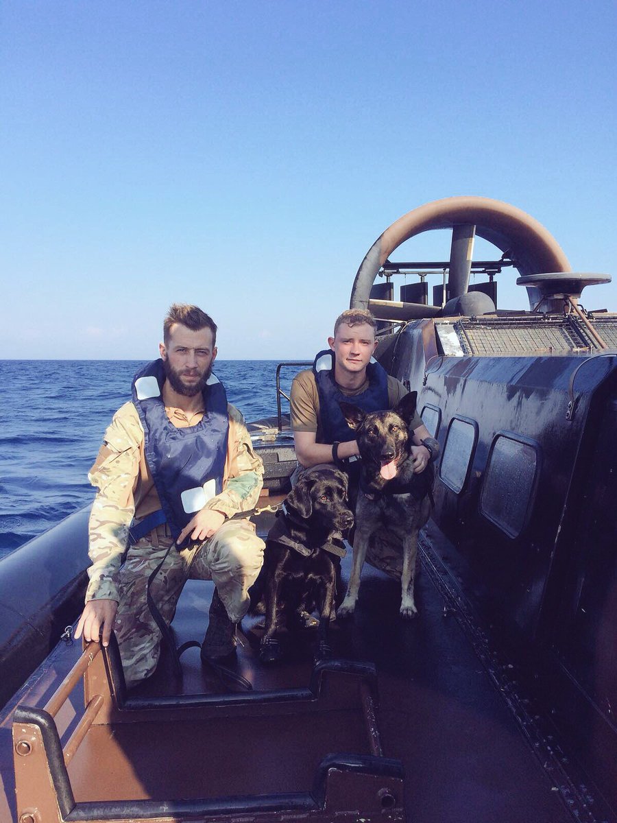 59_Cdo_Sqn's tweet photo. Joint Enablers from @1MWD_Reg have deployed with us on Ex AL 18. Living on @RFALymeBay, conducting STOM and integrating into A Coy @40commando. ⬆️ capability and great training value. Just another day for Pearl and Indy 🐕 #unitedweconquer #JFEG https://t.co/NKqchpwsil