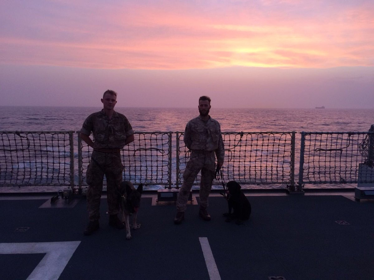 59_Cdo_Sqn's tweet photo. Joint Enablers from @1MWD_Reg have deployed with us on Ex AL 18. Living on @RFALymeBay, conducting STOM and integrating into A Coy @40commando. ⬆️ capability and great training value. Just another day for Pearl and Indy 🐕 #unitedweconquer #JFEG https://t.co/NKqchpwsil