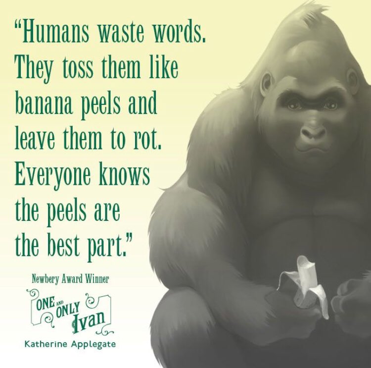 1BookRD's tweet photo. Have you started reading Ivan yet? Tonight would be a great night to start! #cuddleupwithagoodbook #readtogether @rdpschools @kaaauthor #rdpsd @ecolemountview @dcampbellschool @GWSmithSchool @WPEschool @Westparkmiddle #mattiemccullough https://t.co/iRvSgonibt