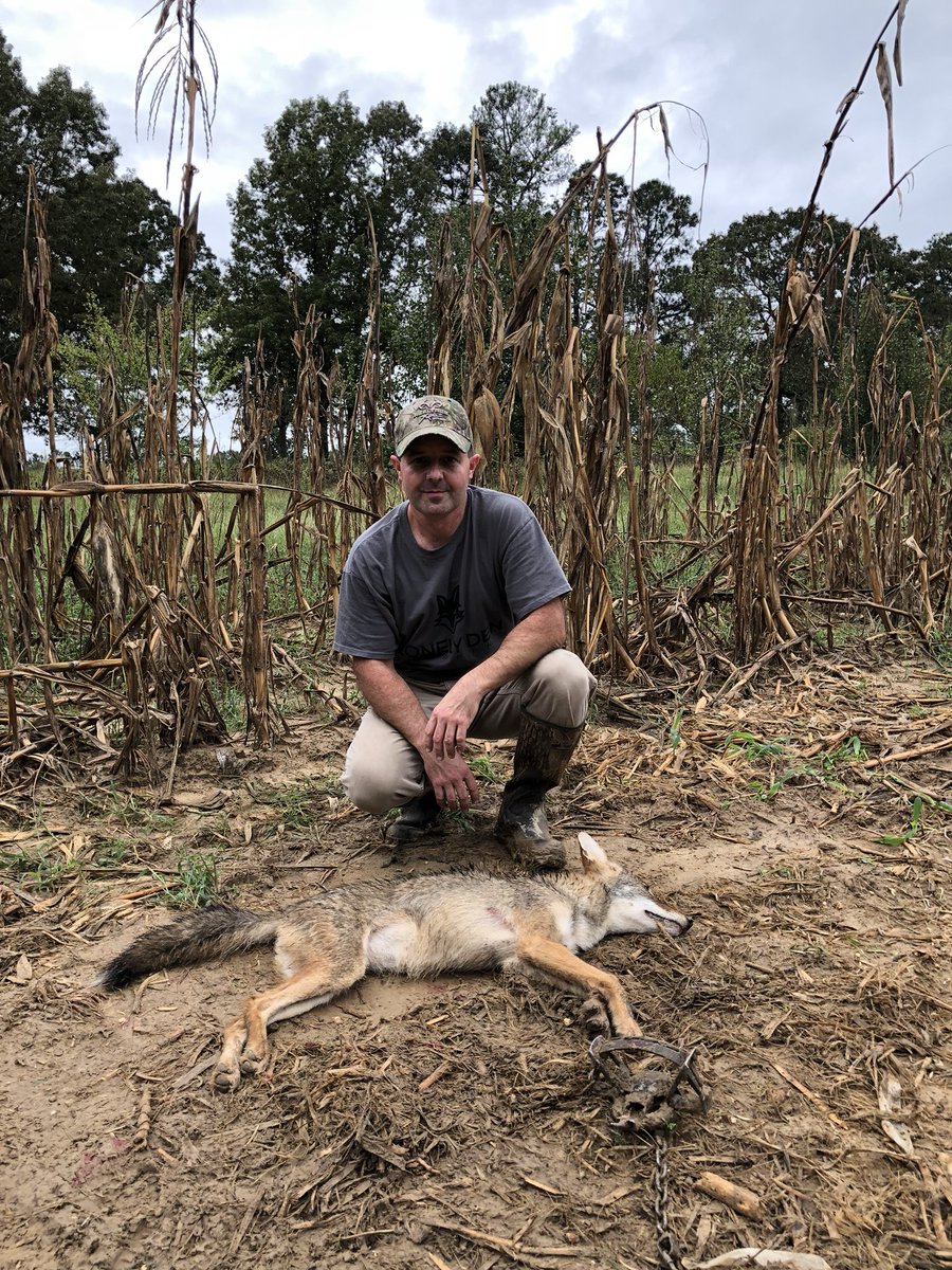 Been doin my thing. #savethefawns