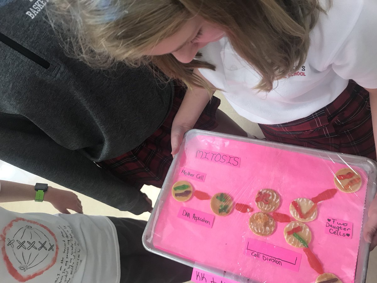 kperez919's tweet photo. Students got creative explaining #mitosis. Some made models, performed skits, wrote and performed songs, made games, and made a variety of other presentations. #scienceclass #lifescience #wearestlukes #morethanaschool @SLWildcats https://t.co/tmuIyAPsHk