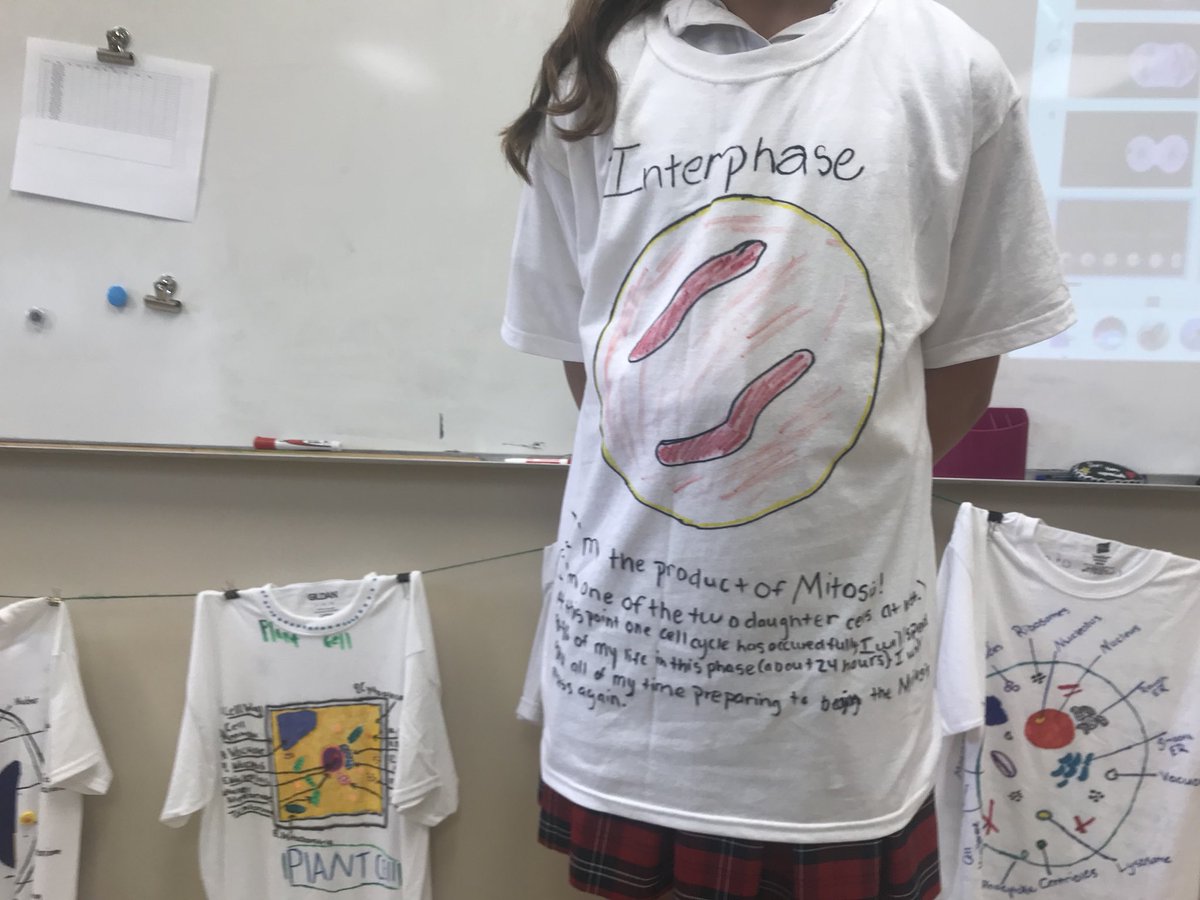 kperez919's tweet photo. Students got creative explaining #mitosis. Some made models, performed skits, wrote and performed songs, made games, and made a variety of other presentations. #scienceclass #lifescience #wearestlukes #morethanaschool @SLWildcats https://t.co/tmuIyAPsHk