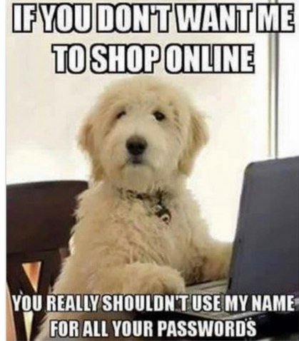 PetEventPros's tweet photo. How do they know!? https://t.co/hHvB5Y3Z2u