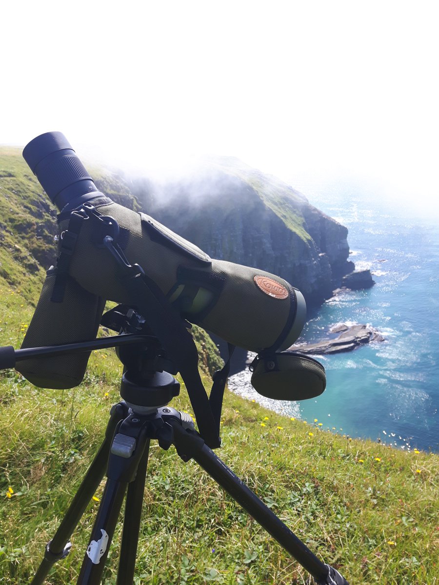birdtherock's tweet photo. My new @KowaOptics gear has followed me everywhere for the past year -- from Newfoundland's seabird colonies to tropical rainforests! Check out my blog to see what I thought ... #BirdTheRock #KowaSystems #ExploreNL https://t.co/kyqtWcy6go https://t.co/MlSeHBqwZA