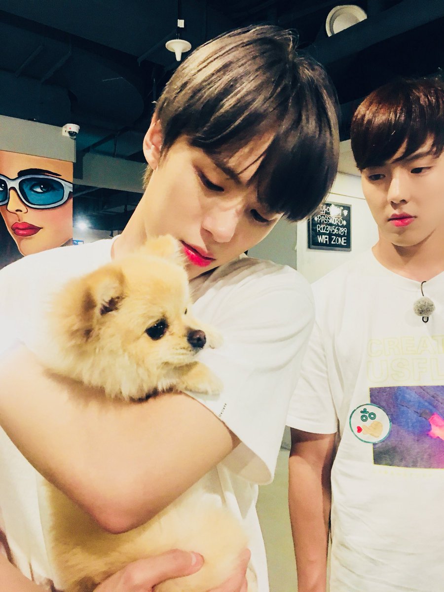 monstaxbr's tweet photo. #TRAD| 180926 • Att. Twitter @OfficialMonstaX 

[#MONSTA_X]
Doce #HOLIDAY com '#MONSTA_X' Temporada 7  
180926 #ÚltimoDia ❤

#MXbehind 📷📸
#MONSTAX_Ray3 Behind 
#Patins #SHOWNU #MIHYUK #KIHYUN

#MONBEBEDAY #HBDMONBEBE
#0926MONBEBEDAY
#MX_HOLIDAY7

Kor-Eng/Port. Monsta X Brasil https://t.co/n1GUxmjYaK