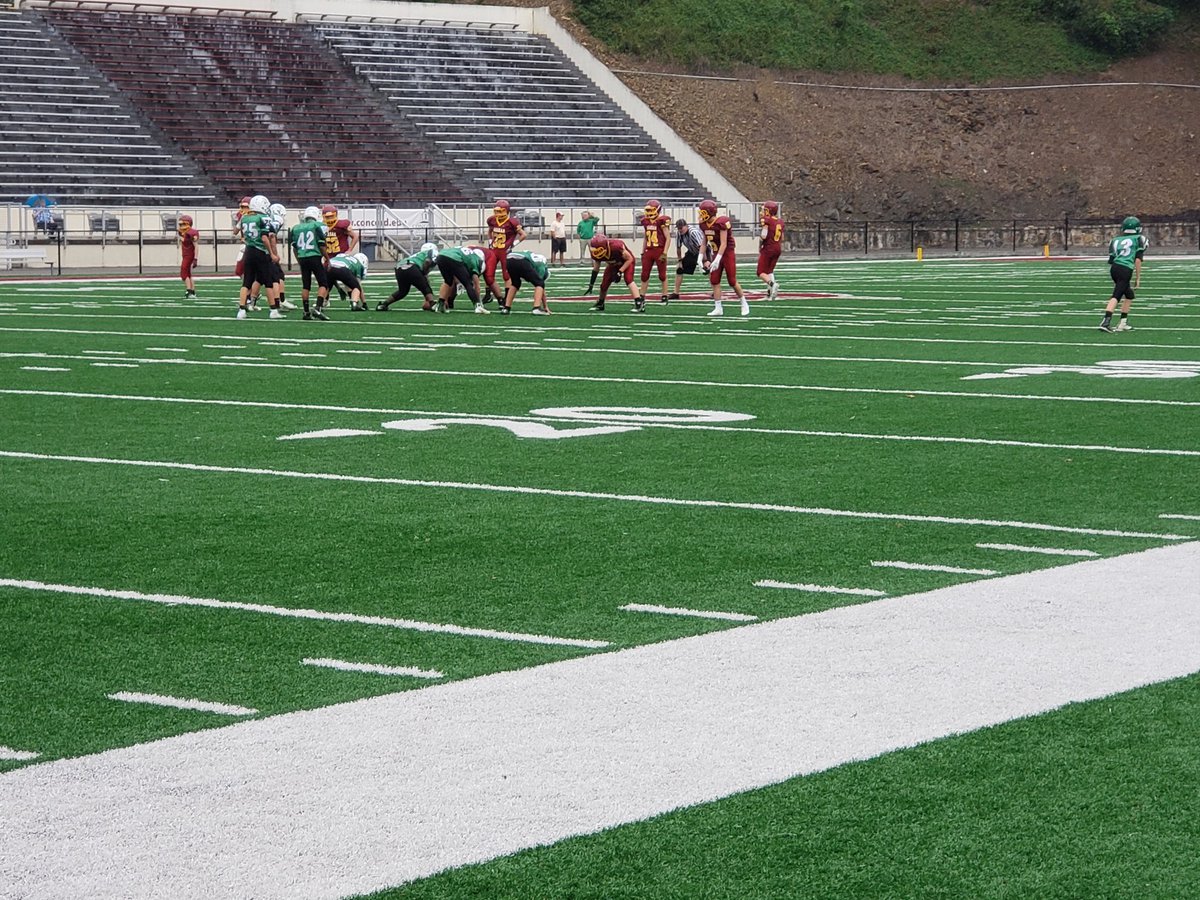 tazewell taz
