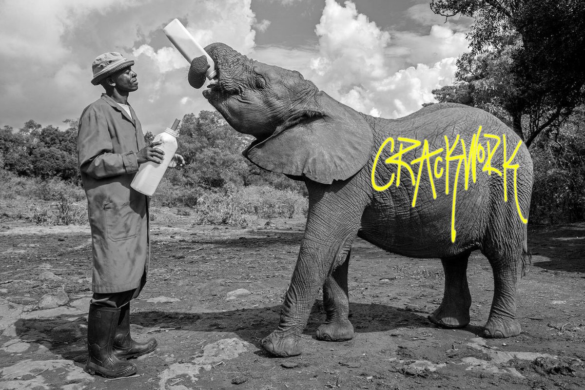 julian_tla's tweet photo. #crackwork @crackwork_art https://t.co/x6LKYfJv5z