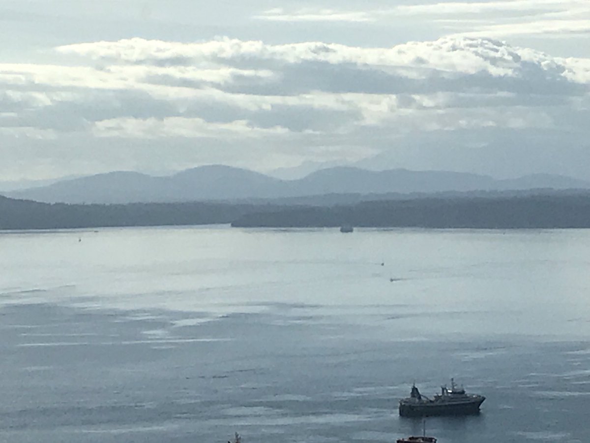 Wooden boat centre, Lake Union <a href="/KenmoreAir/">Kenmore Air</a> and amazing waterfront #seattle scenery this week in brilliant sunshine #SoSeattle