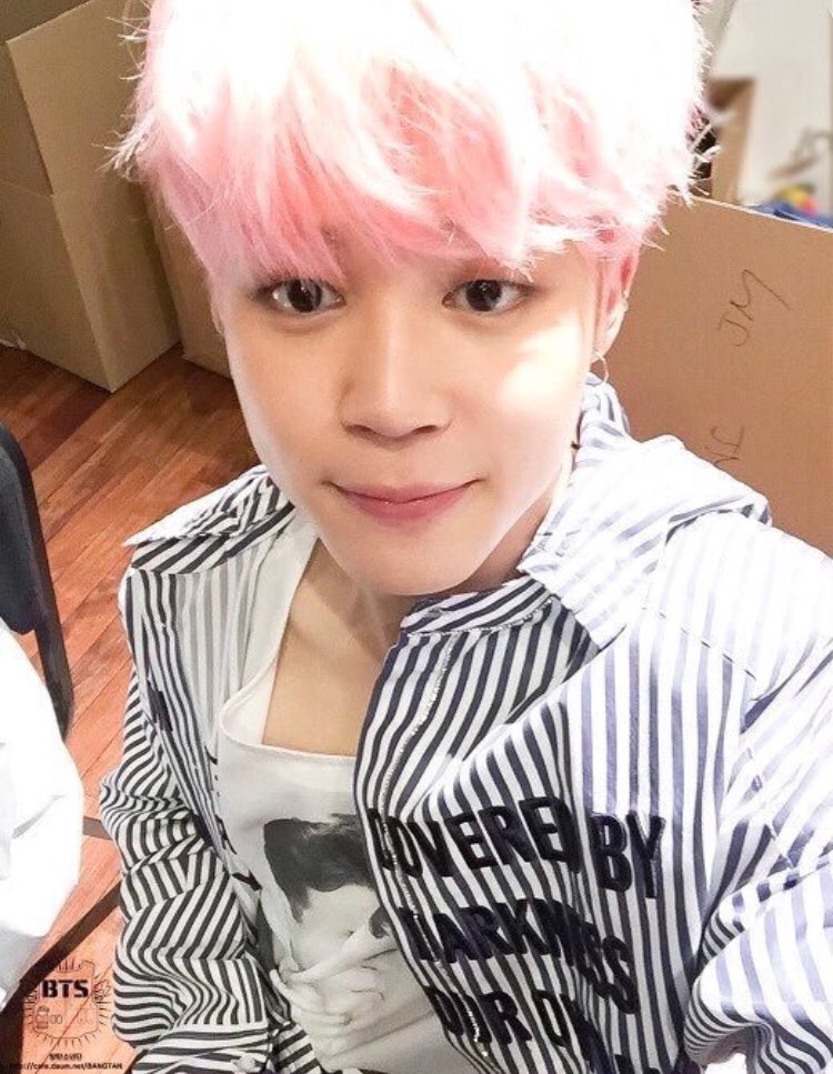 HardStanJiminnn's tweet photo. #SoftStans #JIMIN #PinkHairedJimin https://t.co/sHSv6X0acT