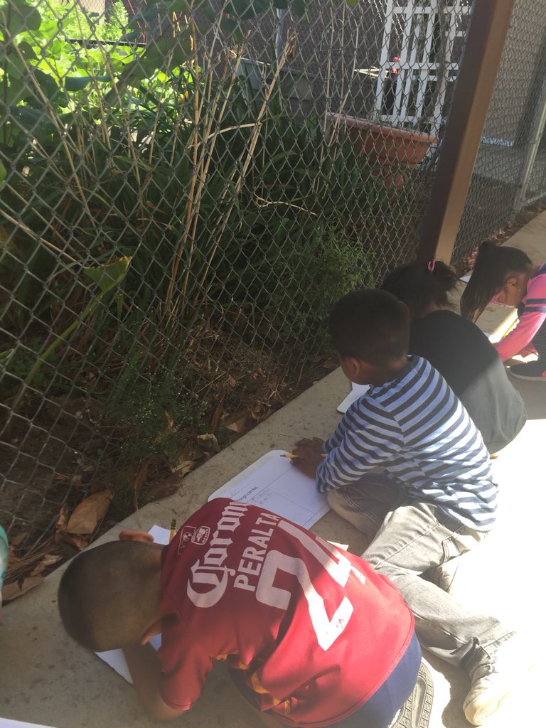 ParksKinder's tweet photo. Why find living things on a piece of paper when we can find them outside!! Nature was on my side today, a bunny, multiple monarch butterflies, bees and birds were out on this beautiful fall day. #fuesd #steamwednesdays #kinder @FUESDSchools @LaPalomaElem https://t.co/oV12cMWeAG
