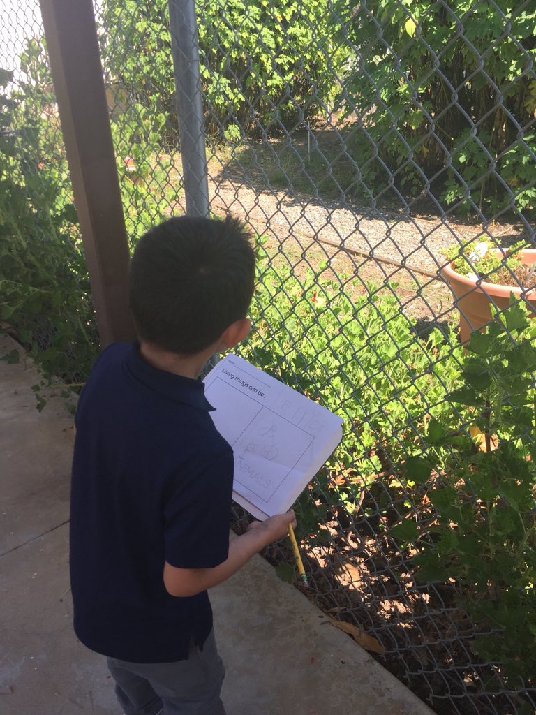 ParksKinder's tweet photo. Why find living things on a piece of paper when we can find them outside!! Nature was on my side today, a bunny, multiple monarch butterflies, bees and birds were out on this beautiful fall day. #fuesd #steamwednesdays #kinder @FUESDSchools @LaPalomaElem https://t.co/oV12cMWeAG