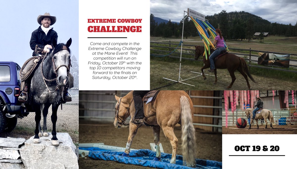 Our 15th Anniversary in Chilliwack is just around the corner! Check out this fun new event! Find more info on our website! #ManeEventExpo