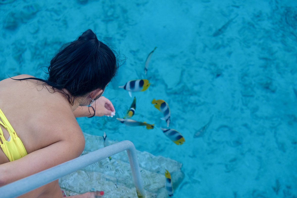 BaileyCronn's tweet photo. Throw back to that time in #BoraBora  that the fish loved me https://t.co/6W83envNDQ