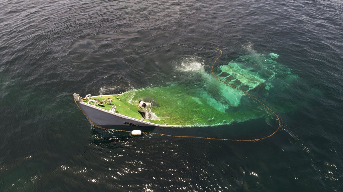 Pure Grenada Newest Dive attractions, Tyrell Bay. Thanks to the contributors to our Tourism Enhancement Fund this project was a huge success and enhances Grenada’s already diverse dive portfolio. #outofthisworld <a href="/grenadadiving/">Pure Diving Grenada</a> <a href="/discovergrenada/">Grenada Global Services</a>