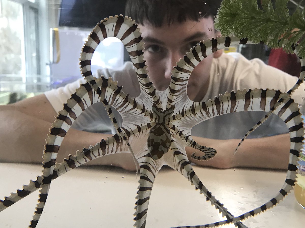 capecodacademy's tweet photo. Woods G11&12 Marine Biology class had a great day visiting the wet lab at MBL, touring the WHOI dock, and learning scientific field methods of dredging and acoustics by boat. #insideCCA #learnmorebecomemore https://t.co/pJBBxByS4S