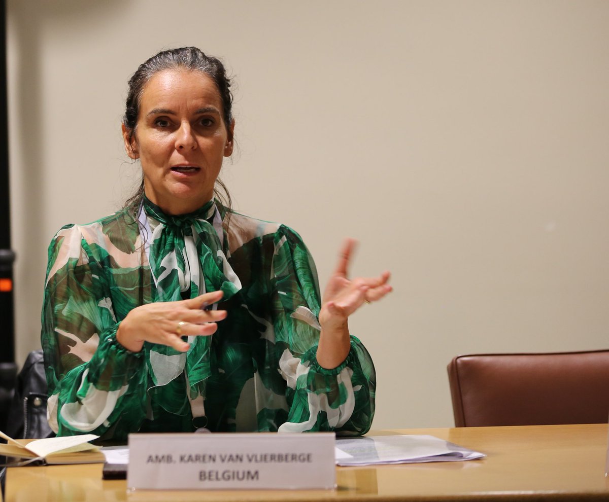 BelgiumUN's tweet photo. At today’s panel discussion cohosted by @BelgiumUN and #UNCCT on ensuring the rights of children of foreign fighters : #Belgium 🇧🇪 is ready to play a more pro-active role with regard to the return of children of #FTF in line with international law and principles. https://t.co/rhmiWvPP49