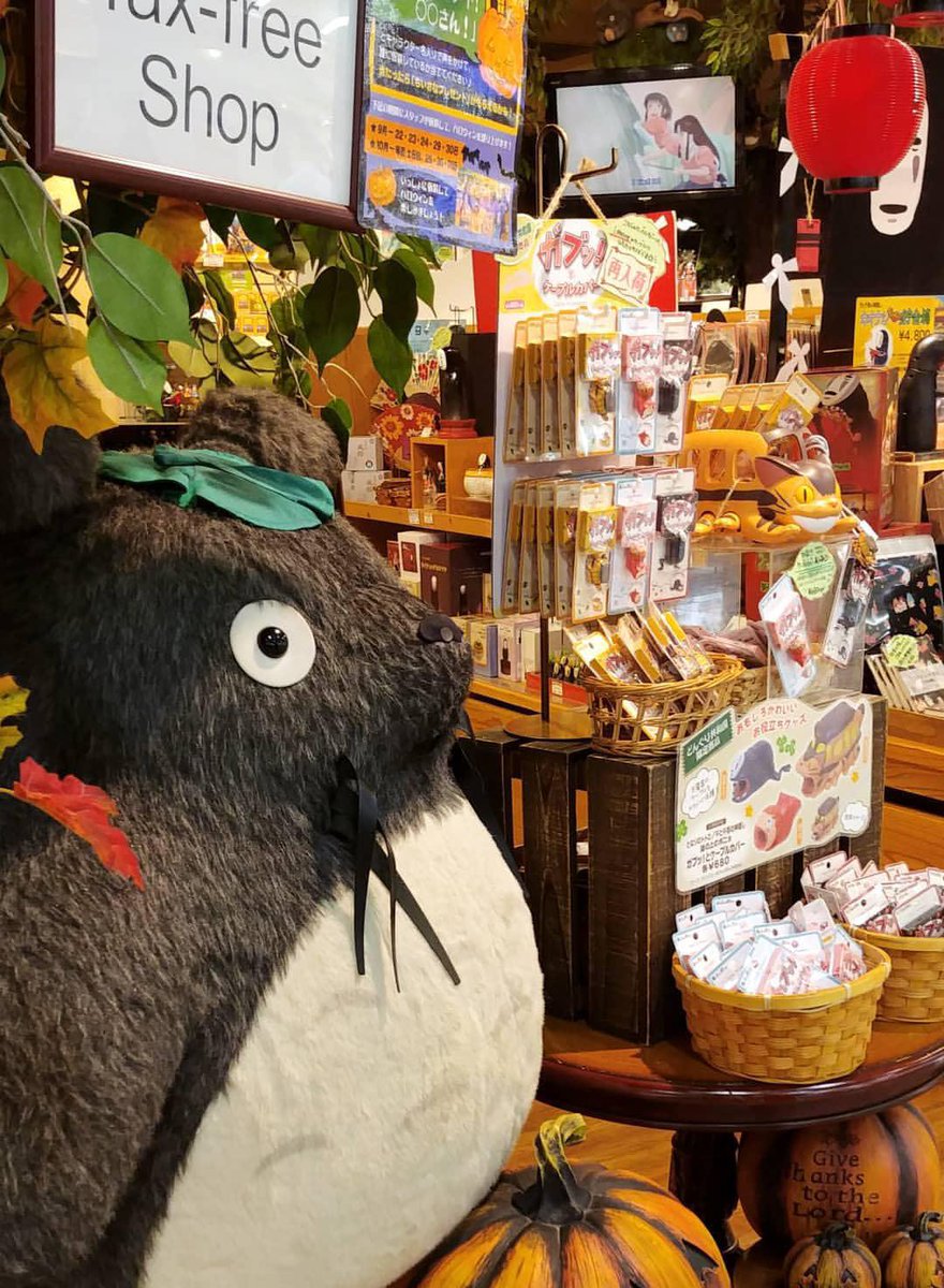 Emoção de ir a uma loja DONGURI (lojinha autorizada STUDIO GHIBLI) 💕🇯🇵😻 #ghibli #studioghibli #osaka #donguri #kansai #visitkansai #visitosaka #japan