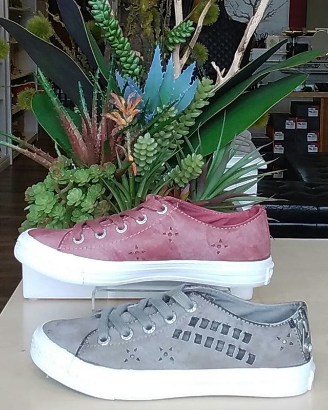 YaYaBoutique's tweet image. New arrivals ... Fall is here but not in southern California 😎#dibatrue #plazaelsegundo #downtownmanhattanbeach #oneofkind #blowfishshoes