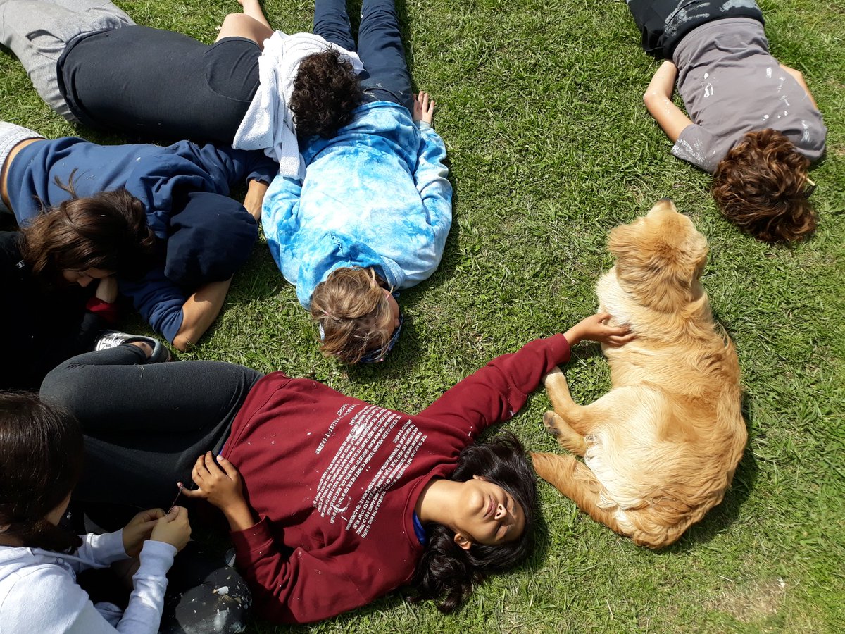 GeorgeJs_Lens's tweet photo. Third day in Pajaritos de la Calle, painting, playing and bonding. #aelincoln #aelslearning @AELincolnCS @lincolnael https://t.co/pOpgzCmkqk