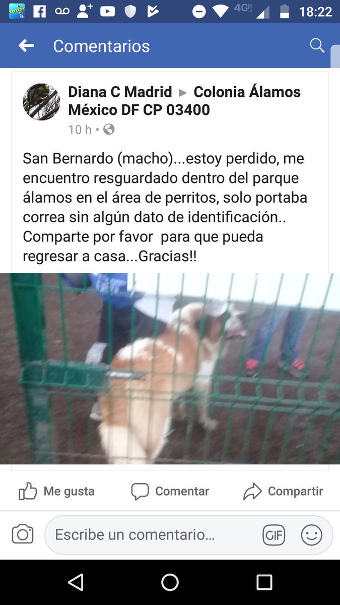 KatsenLula's tweet photo. @IHablando @paty_roldan @Lalo_Alcantara @PrrosPerdidosMX @EugenioDerbez @UribeMerle @LaChataPig https://t.co/1cg5MY3MFi