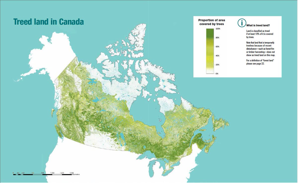 NRCan's tweet photo. #DYK Canada is home to 9% of the world’s #forests? In fact, Canada has 347 million hectares of forest land — nearly 10 hectares of forest land per Canadian! https://t.co/lLAiyHWQyI #NationalForestWeek #TreeDay https://t.co/Lixt3D03xv