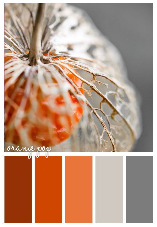 DFWLinens's tweet image. It's Fall Ya'll!!! Stay tuned to see the table setting that matches this color scheme!
