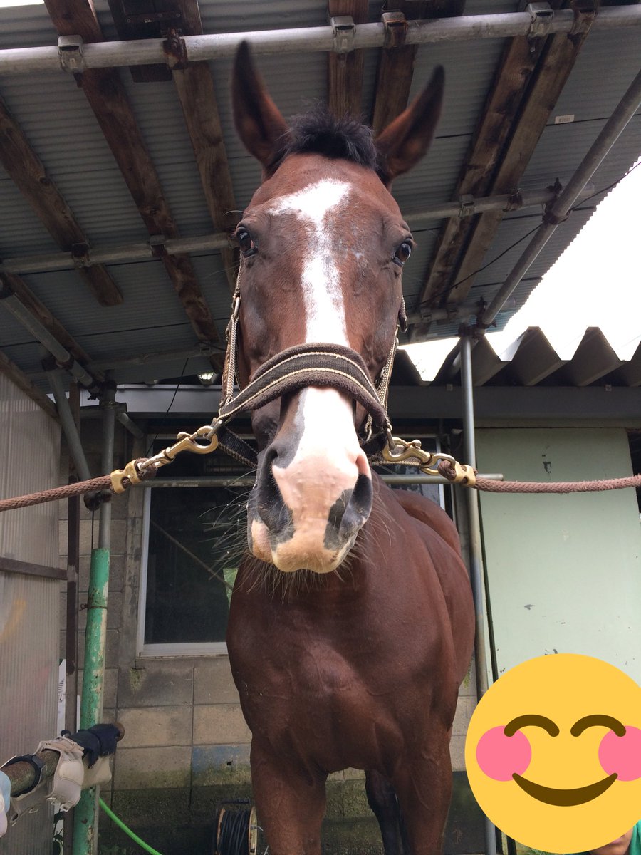 Jumpingstar_'s tweet photo. きょうは ぶないたいこうせん だったよ！ https://t.co/7JTaiwIidB