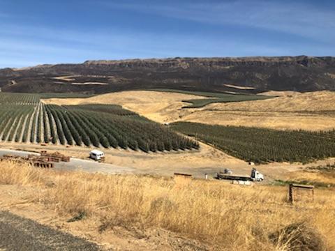 CathyB_PMA's tweet photo. Last stop: @cmiorchards. A big thank you to George Harter for everything: the special visit, spectacular views and apples! #freshproduce https://t.co/npxmpKFpbW