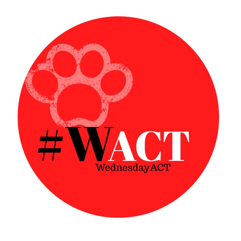 CacheHigh's tweet photo. Lots of great things happening at Cache High School. Today, as part of #WACT, we had a terrific turnout for after school tutoring & wonderful lessons that stretched the minds. #makingadifference #CacheBulldogs https://t.co/DWWtPOJAQG