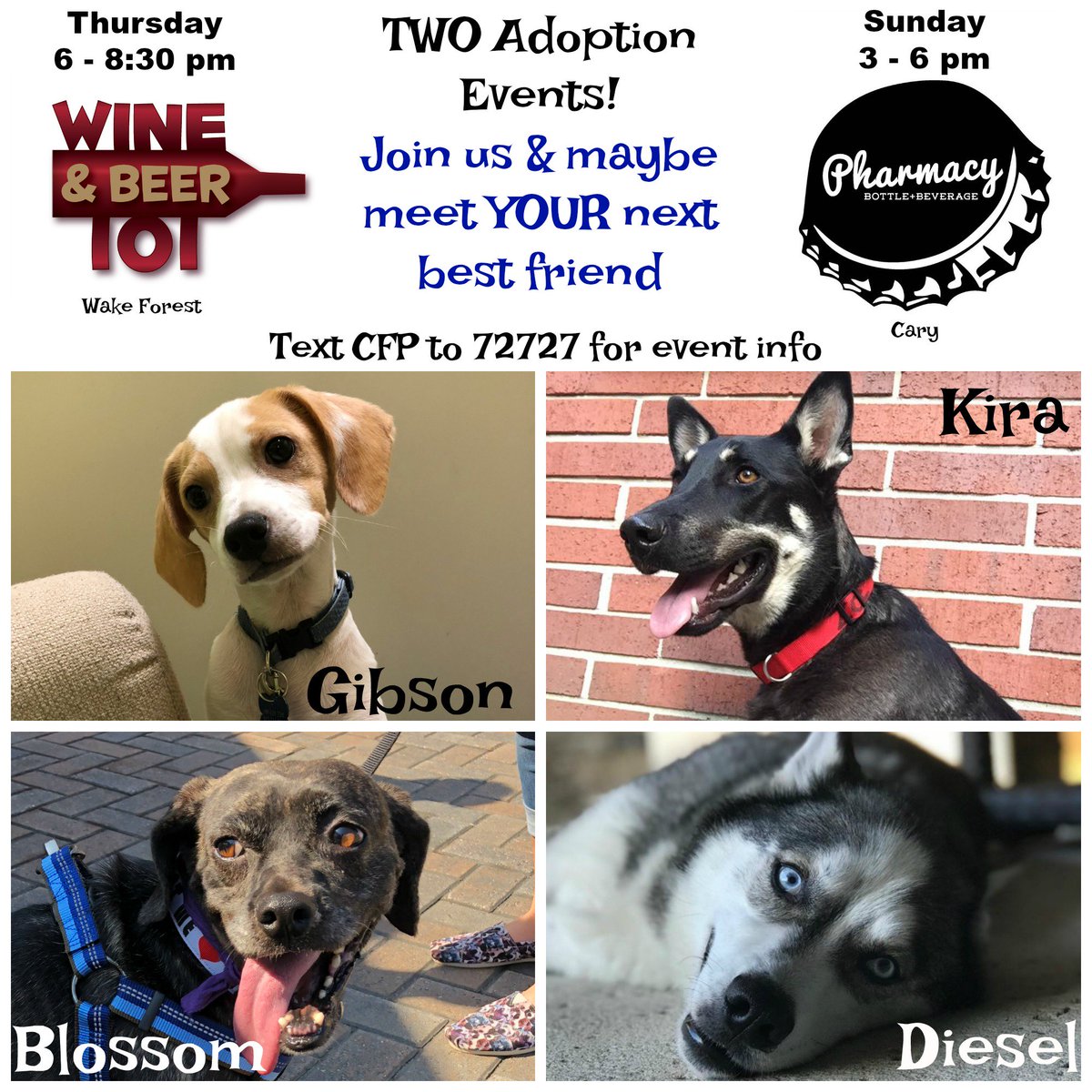 Cause for Paws of NC tweet media