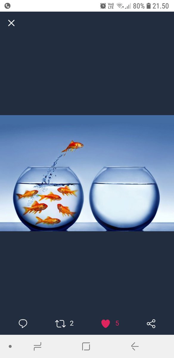 heidibrinckmann's tweet photo. 🐡🐳#beyou #goyourownway #alwaysbelieveinyourself #treatpeoplewithkindness #takechances #beanoriginalnotacopy #dowhatmakesyouhappy 🐳🐡 https://t.co/o5EAmAhGSE