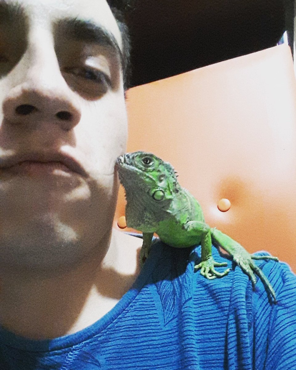 Sebas_Citlamina's tweet photo. Beshito iguanil
#iguana #verde #beshito https://t.co/kx67SaqGZV