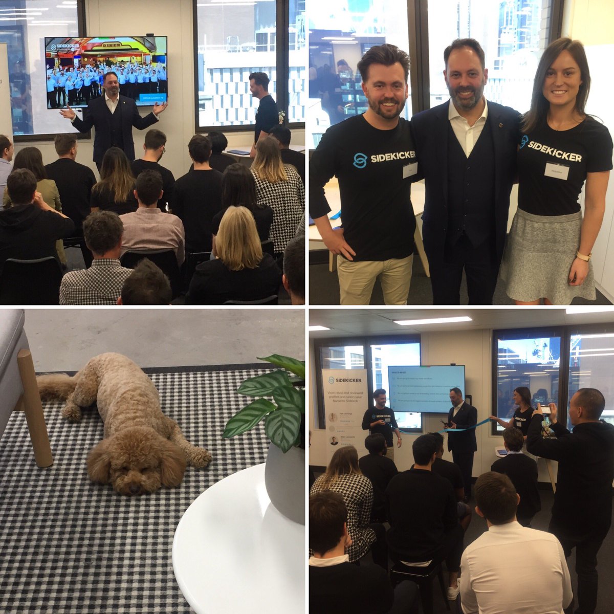 Philip Dalidakis tweet media