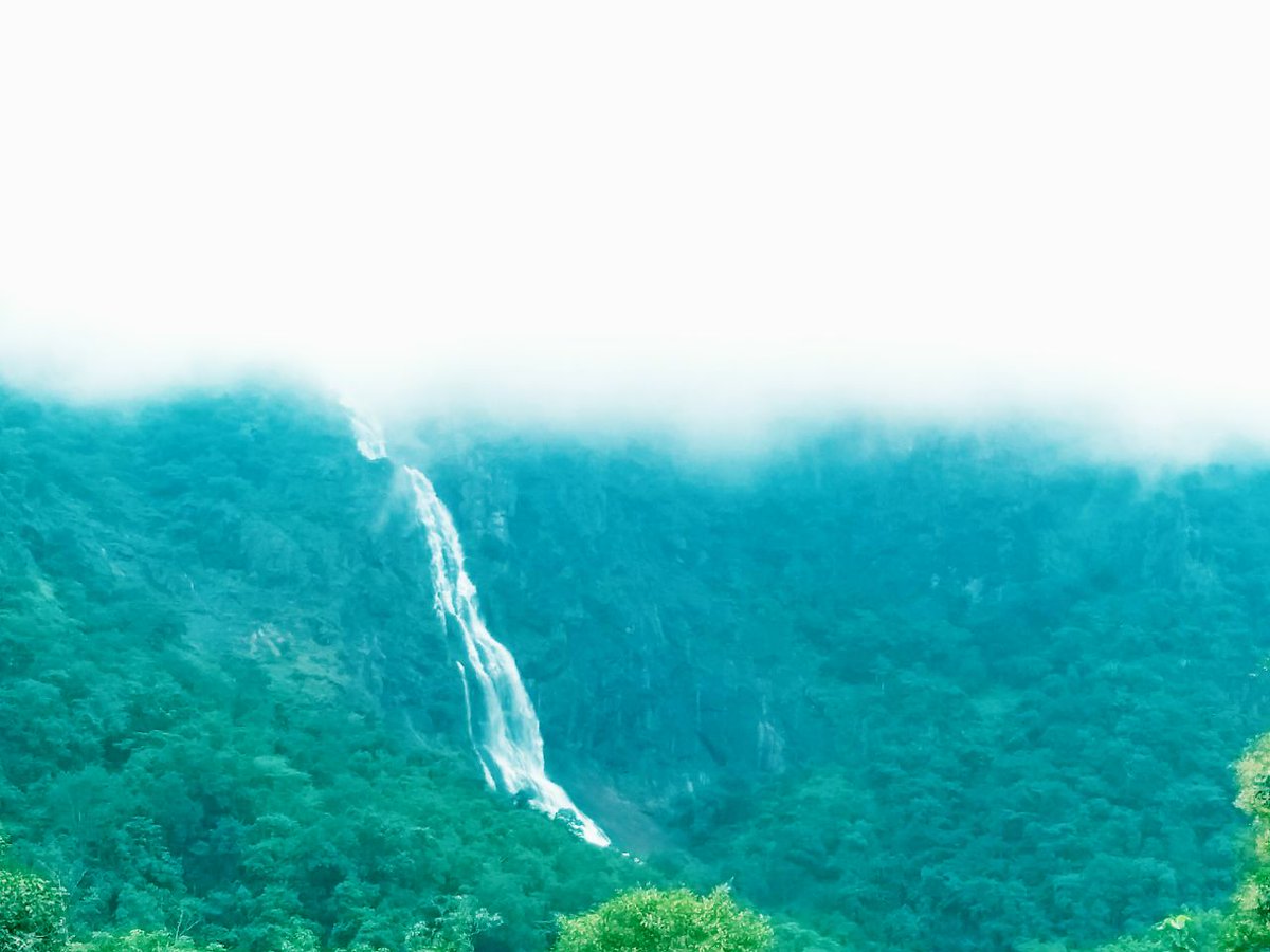 itzchampak's tweet photo. If you have never been, then make a trip this time...
Nature at it's best...
#Khandadhar in winter
#WorldTourismDay #OdishaExpress 
#IncredibleOdisha 
@BBSRBuzz @akala_kushmanda 
PC- Satyam Kahali https://t.co/tJzsBiFLs4