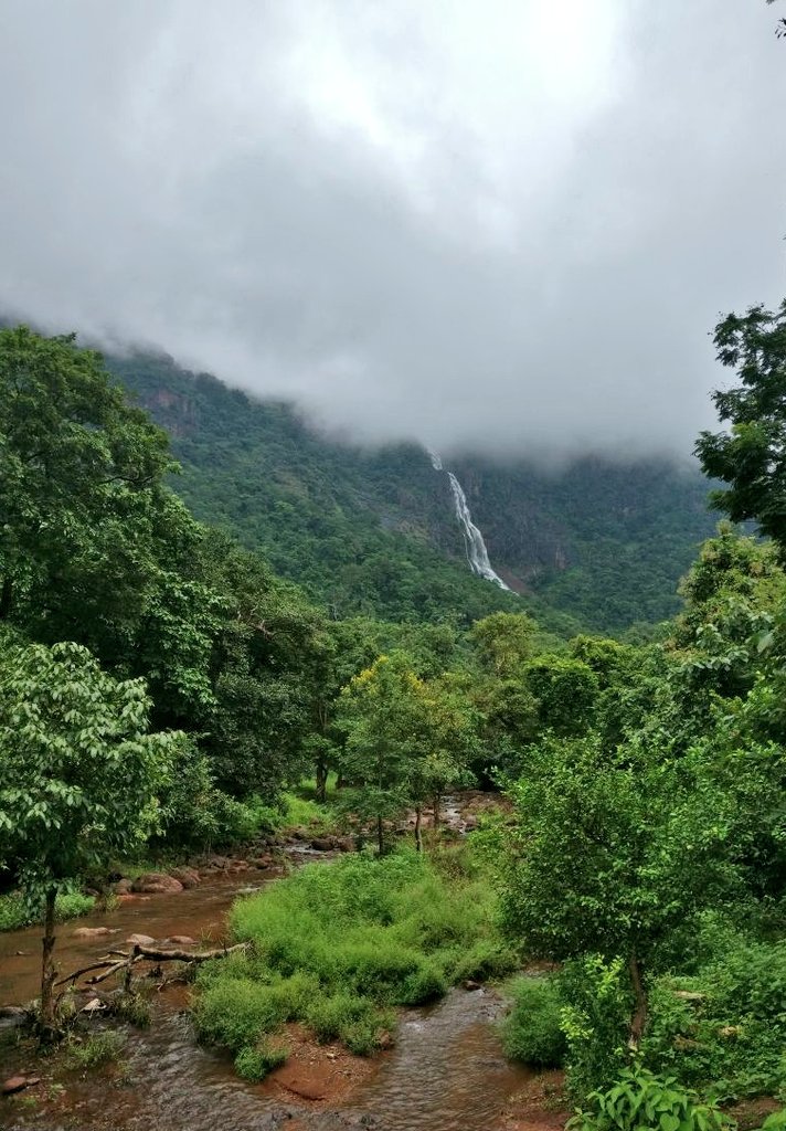 itzchampak's tweet photo. If you have never been, then make a trip this time...
Nature at it's best...
#Khandadhar in winter
#WorldTourismDay #OdishaExpress 
#IncredibleOdisha 
@BBSRBuzz @akala_kushmanda 
PC- Satyam Kahali https://t.co/tJzsBiFLs4