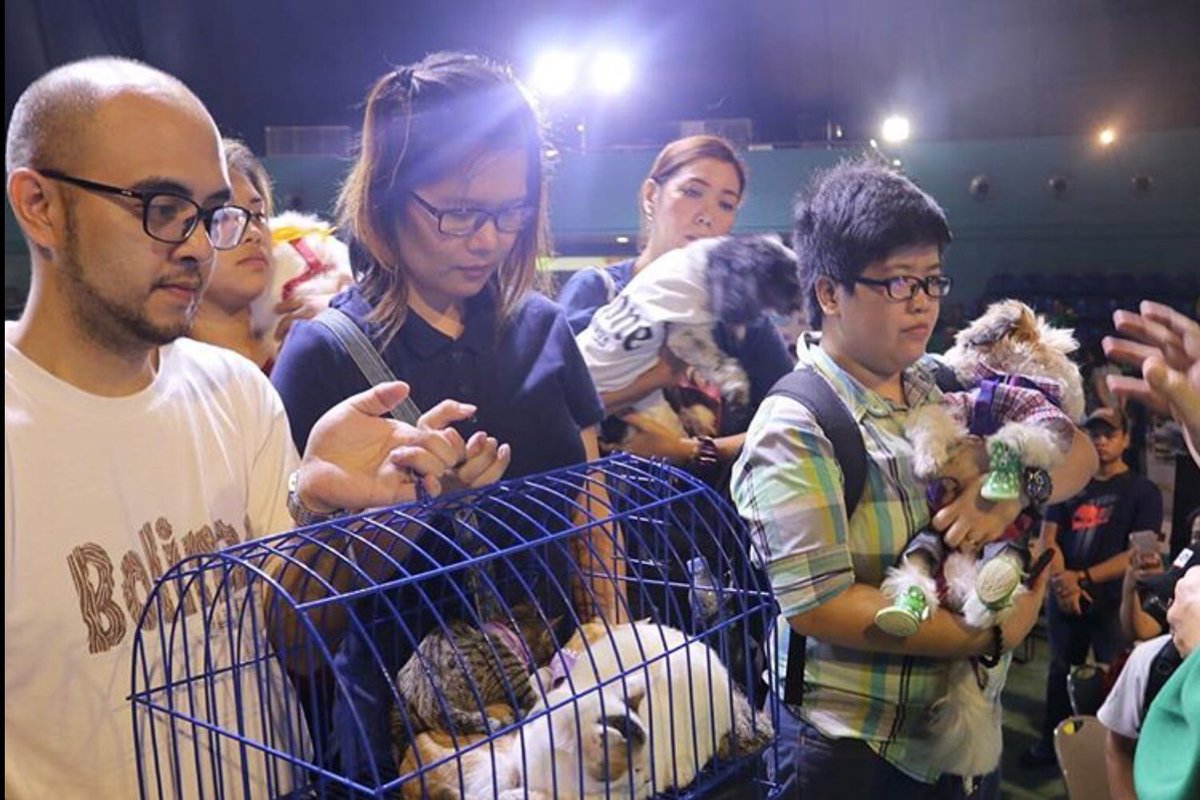 PAWSPhilippines's tweet photo. JOIN THE PAWS PET BLESSING ON OCT 7❤️

Once again, let's celebrate the feast of St. Francis of Assisi with your furry &amp; non-furry loved ones by attending our annual event at the SM Skydome of SM North Edsa on October 7, Sunday. https://t.co/p0u4Ppf3cC