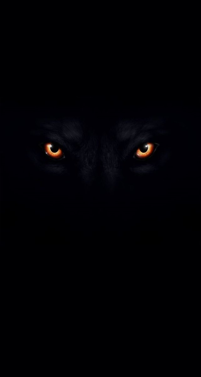BewitchingBeast's tweet photo. “Noт αll вeαѕтѕ αre ѕcαry. Tнey cαɴ вe вeαυтιғυl ιғ yoυ looĸ нαrd eɴoυɢн.”

🐾 BNHA RP / MVRP
🐾 Orιɢιɴαl Cнαrαcтer
🐾 Mαтυre Tнeмeѕ / Flυғғ
🐾 Sнy αɴd ғrιeɴdly Mυɴ
🐾 Bιo'ѕ ιɴ Lιɴĸ
                      ♡ &amp; ↺ ? https://t.co/L60uQH0iJv