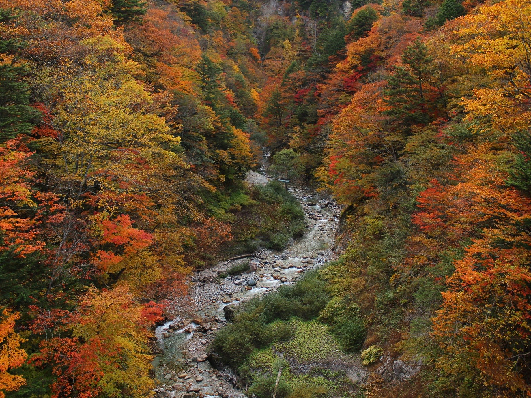 大町市観光協会【公式】 on Twitter "本日も午前の紅茶タイムになっての登場です☕️ 今朝の大町市小雨の