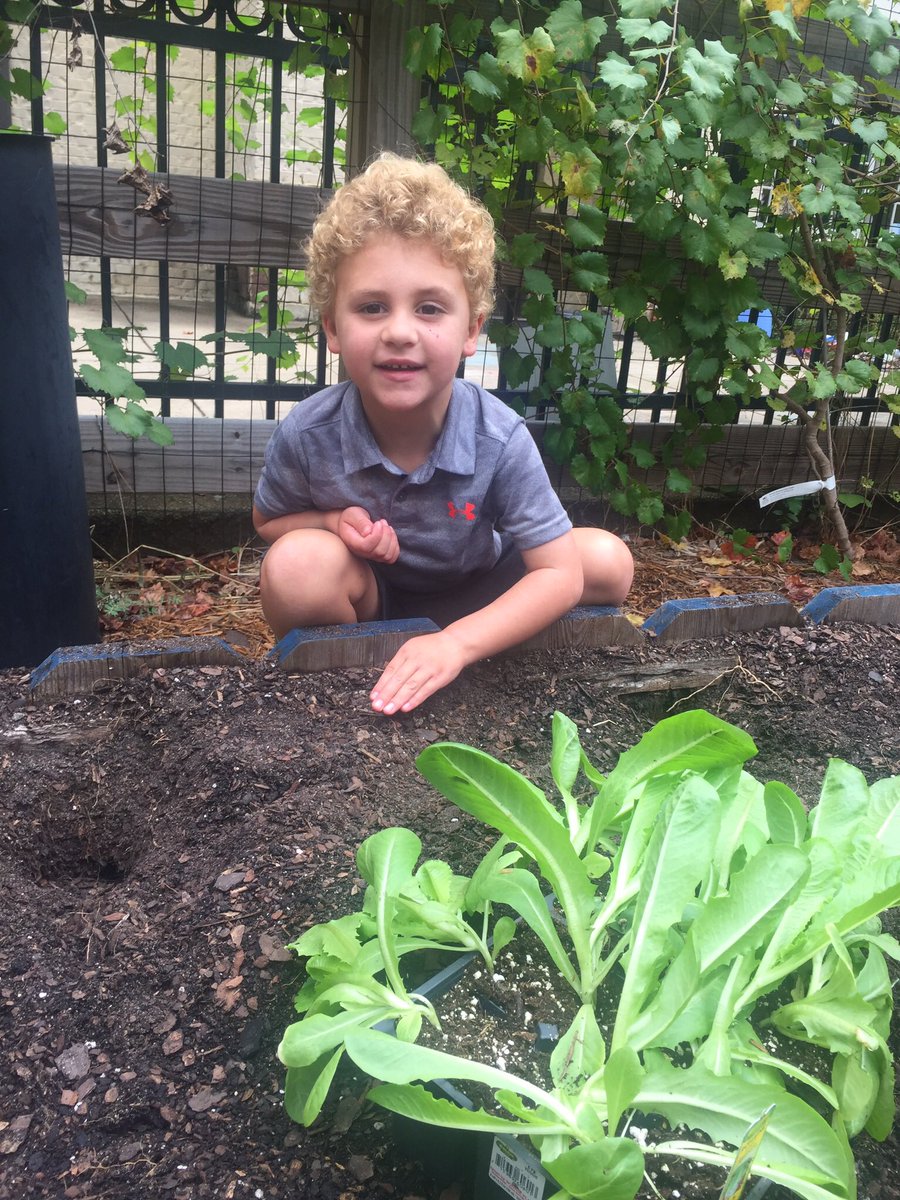 Thalia Scott tweet media