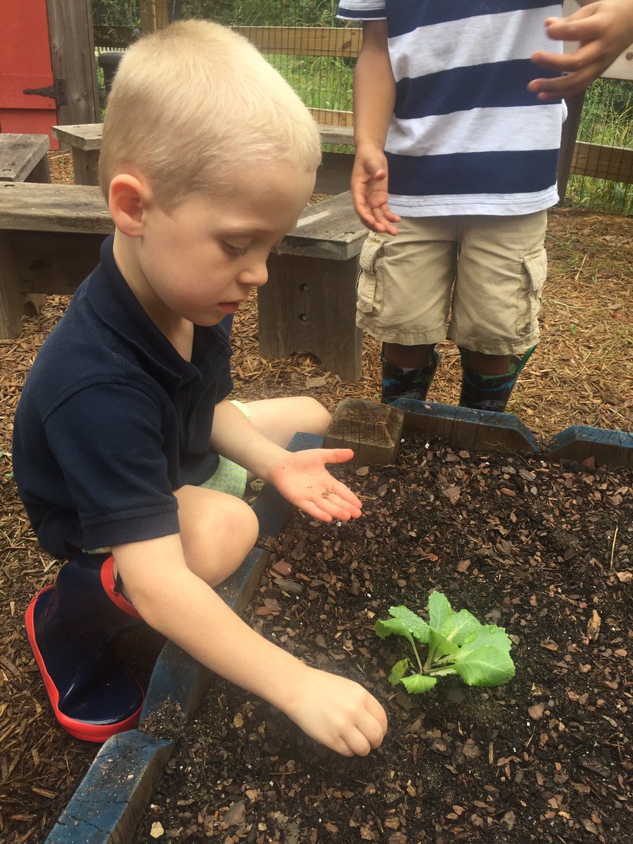 Thalia Scott tweet media