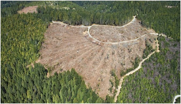 stopthechops's tweet photo. This land was once covered with trees and life...now its dry, bare, and lifeless all because of deforestation. https://t.co/rBt7DultUB