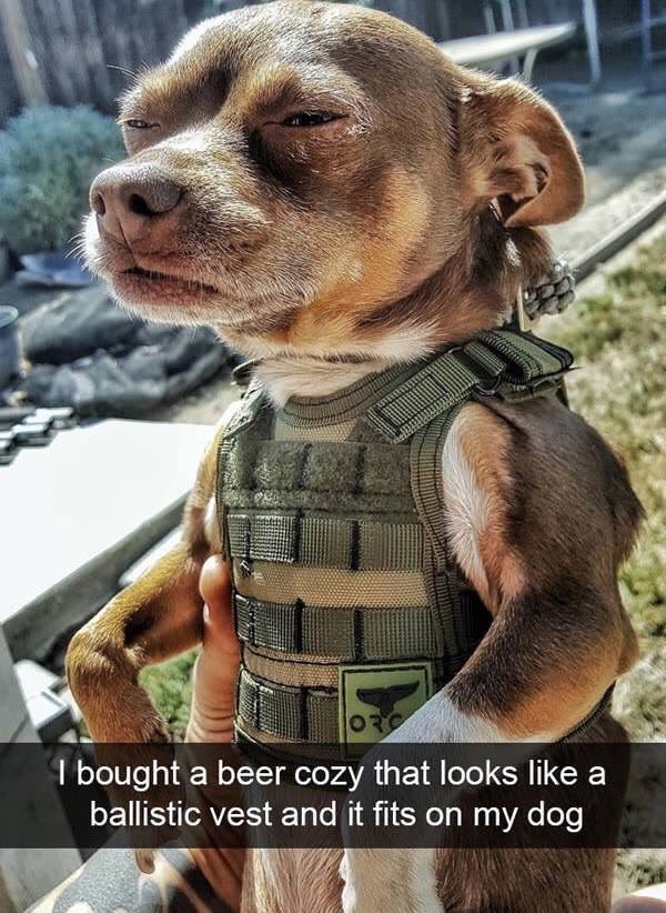 the_infam0us's tweet photo. this is the greatest thing i’ve ever seen on the internet https://t.co/kkdkNbH64S